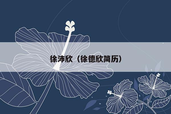 徐沛欣（徐德欣简历）