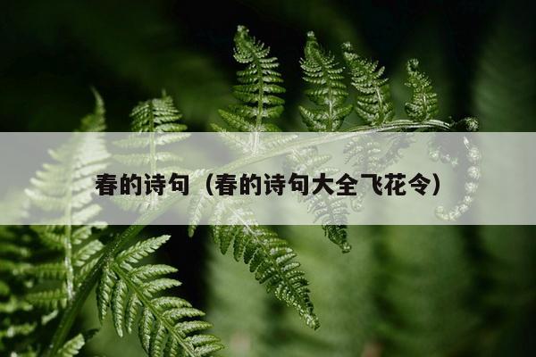 春的诗句（春的诗句大全飞花令）