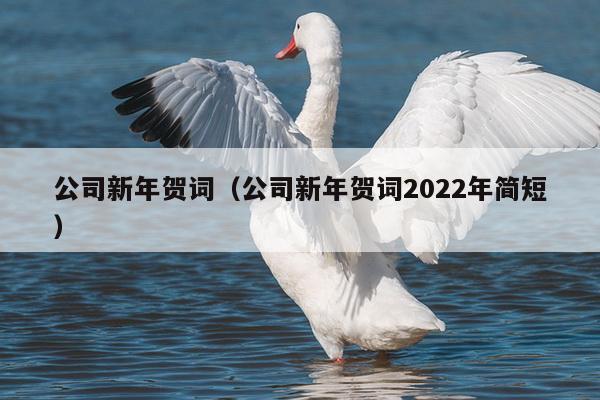 公司新年贺词（公司新年贺词2022年简短）