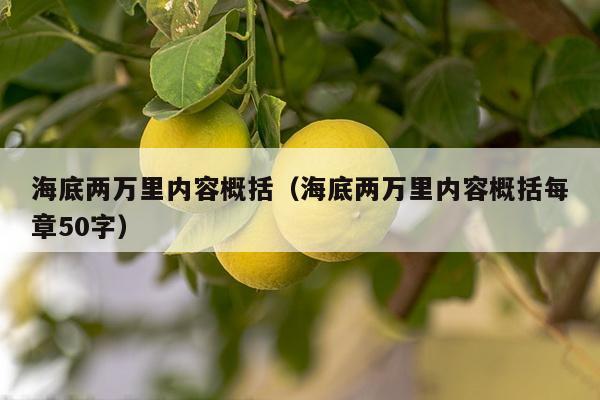 海底两万里内容概括（海底两万里内容概括每章50字）