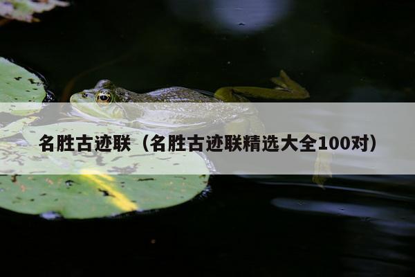 名胜古迹联（名胜古迹联精选大全100对）