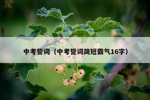 中考誓词（中考誓词简短霸气16字）