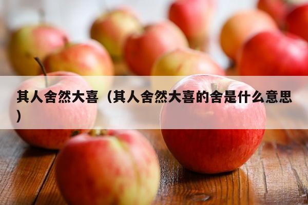 其人舍然大喜（其人舍然大喜的舍是什么意思）