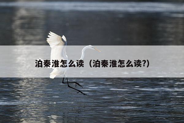 泊秦淮怎么读（泊秦淮怎么读?）