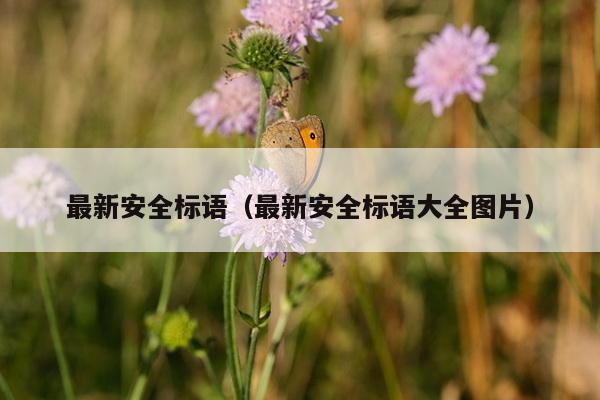 最新安全标语（最新安全标语大全图片）