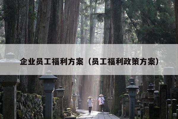 企业员工福利方案（员工福利政策方案）