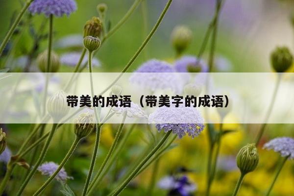 带美的成语（带美字的成语）