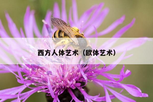 西方人体艺术（欧体艺术）