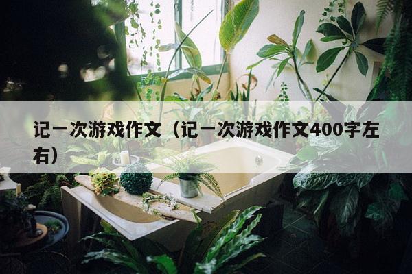 记一次游戏作文（记一次游戏作文400字左右）