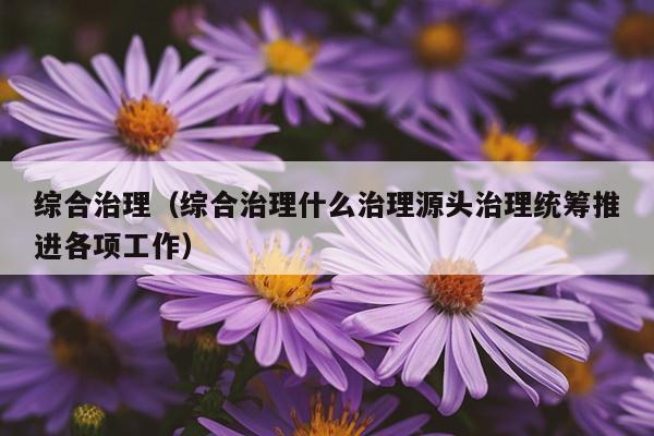 综合治理（综合治理什么治理源头治理统筹推进各项工作）