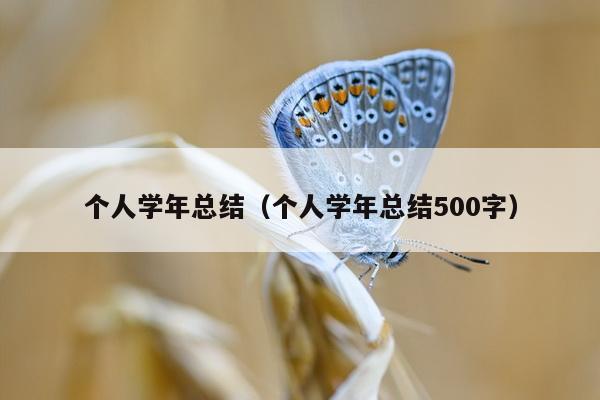 个人学年总结（个人学年总结500字）