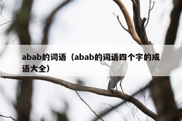 abab的词语（abab的词语四个字的成语大全）