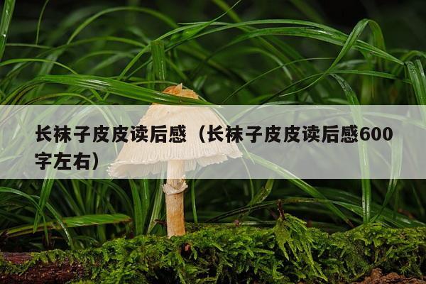 长袜子皮皮读后感（长袜子皮皮读后感600字左右）