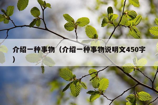 介绍一种事物（介绍一种事物说明文450字）