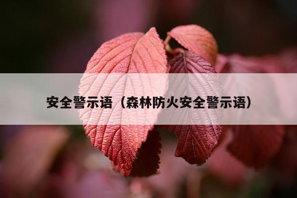 安全警示语（森林防火安全警示语）