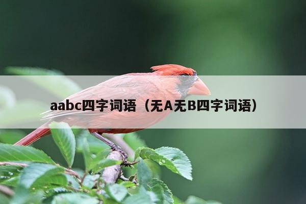 aabc四字词语（无A无B四字词语）