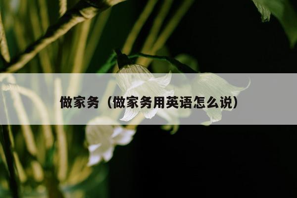 做家务（做家务用英语怎么说）