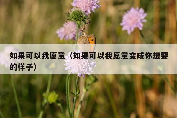 如果可以我愿意（如果可以我愿意变成你想要的样子）