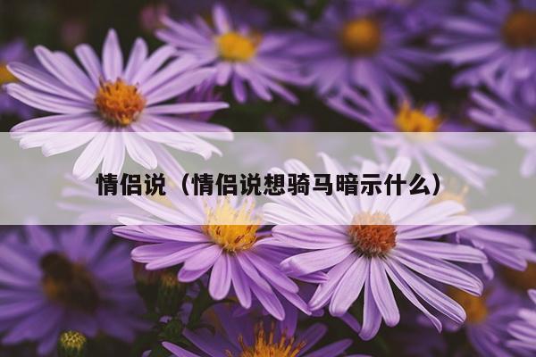 情侣说（情侣说想骑马暗示什么）