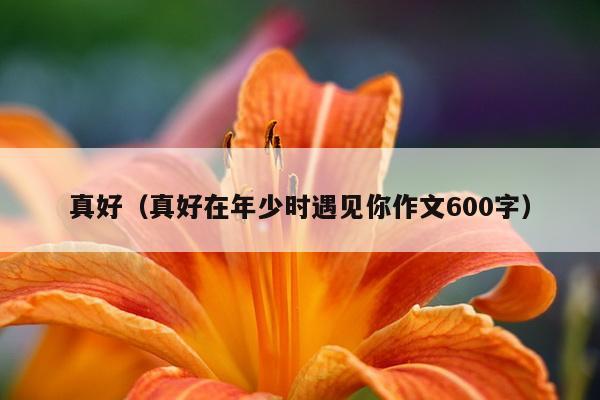 真好（真好在年少时遇见你作文600字）