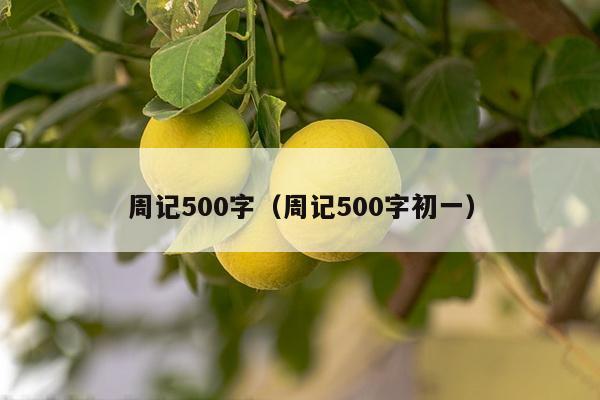 周记500字（周记500字初一）