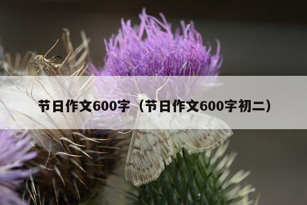 节日作文600字（节日作文600字初二）