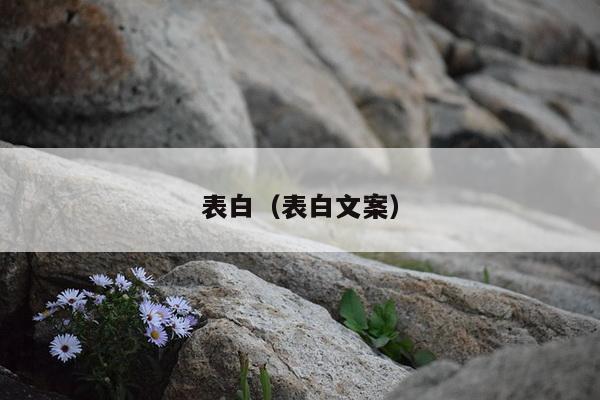 表白（表白文案）