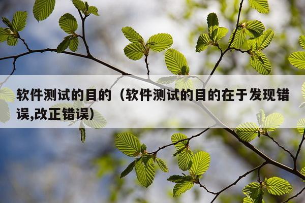 软件测试的目的（软件测试的目的在于发现错误,改正错误）
