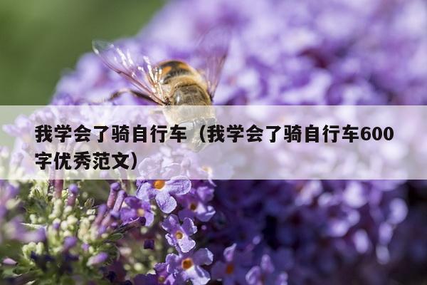 我学会了骑自行车（我学会了骑自行车600字优秀范文）