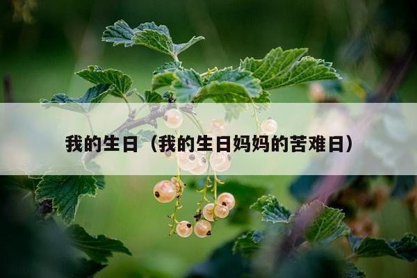 我的生日（我的生日妈妈的苦难日）